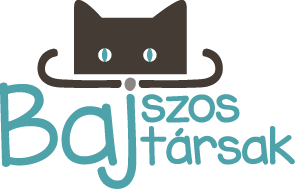 Bajszos Bajtársak Cicapanzió