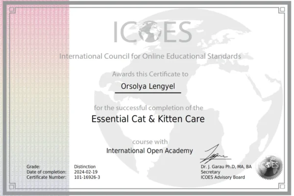 Essential Cat & Kitten Care