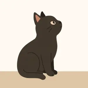 macskak-viselkedese-bamulas