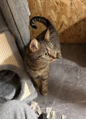 Lady-kepek-1