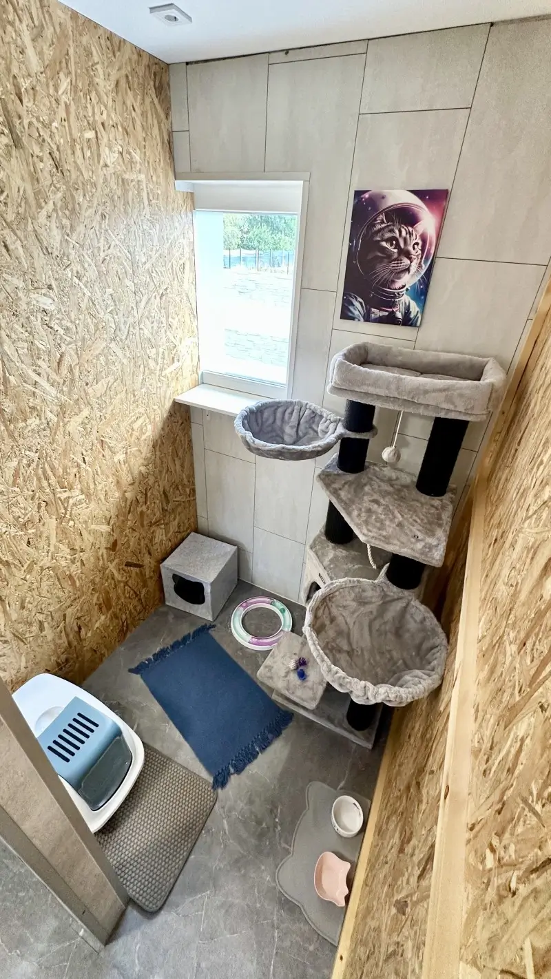 premium-cicapanzio-gyor-csillagmancs-szoba-kep-felulrol