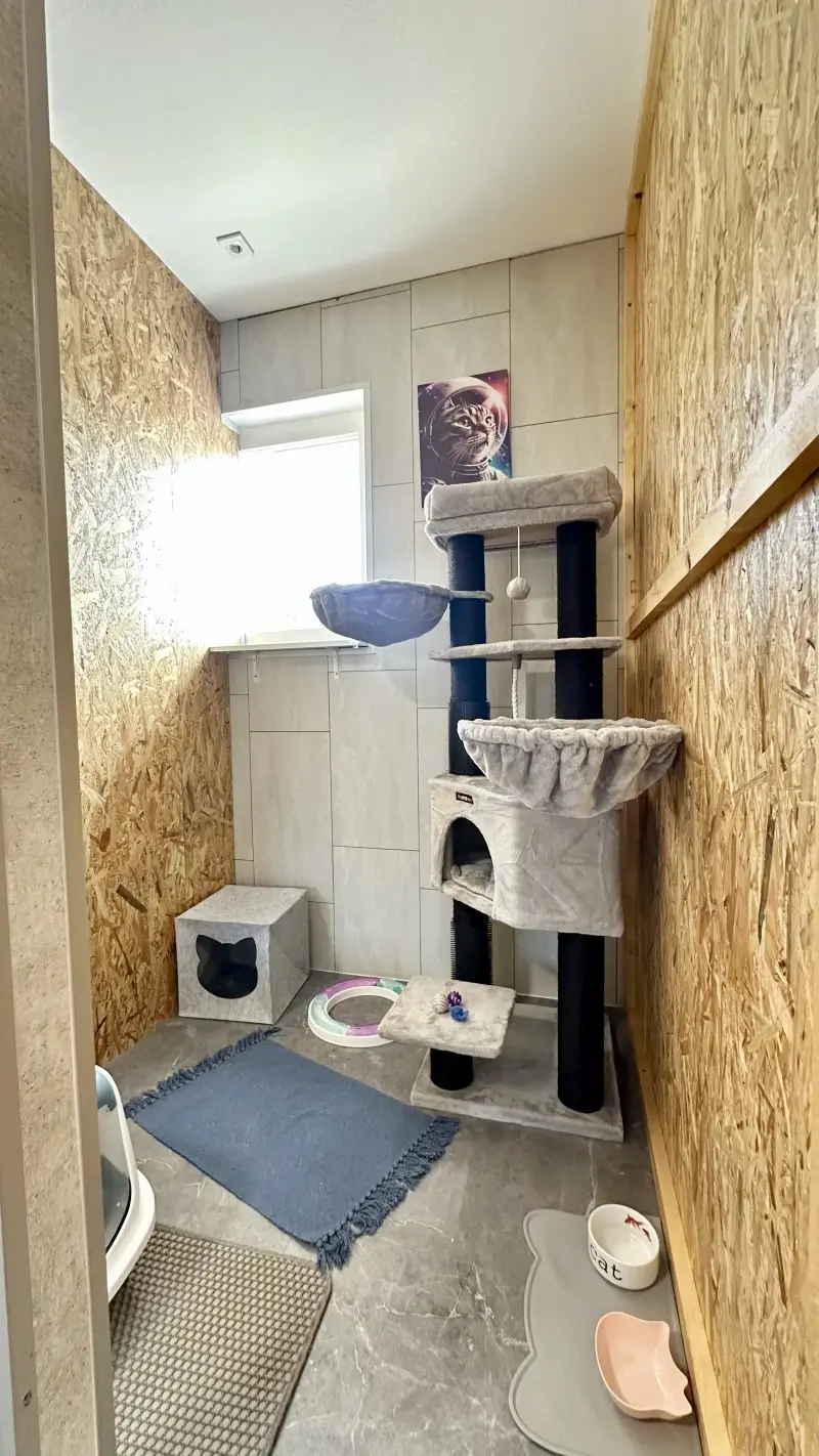 premium-cicapanzio-gyor-csillagmancs-szoba-kepek